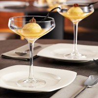 Бокал для коктейля CHAMPAGNE & COCKTAIL 300мл